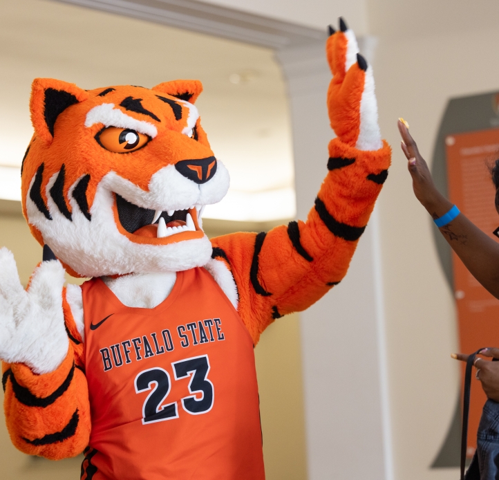 benji bengal high fiving someone