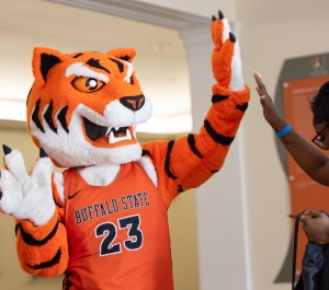 benji bengal high fiving someone